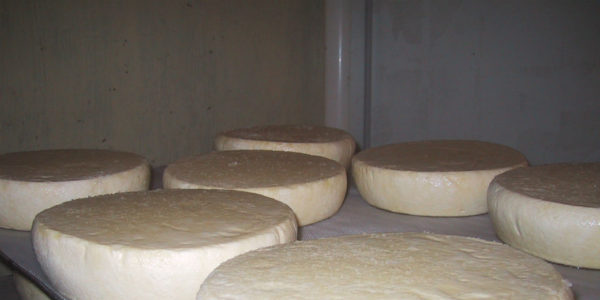 fabrication des fromages et affinage en cave de Baden
