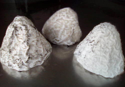 Le Menhir cendré de Baden, la spécialité lactique de la fromagerie de la mer.