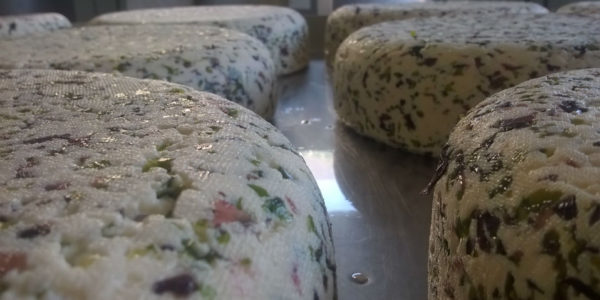Délicieuse fromage breton aux algues marines- tome de la mer - Fromagerie de la Mer